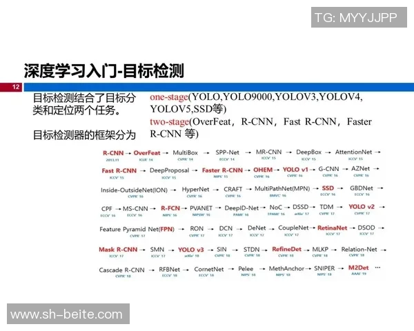 曾凡博谈杨瀚森影响力称新环境下学习机会有限