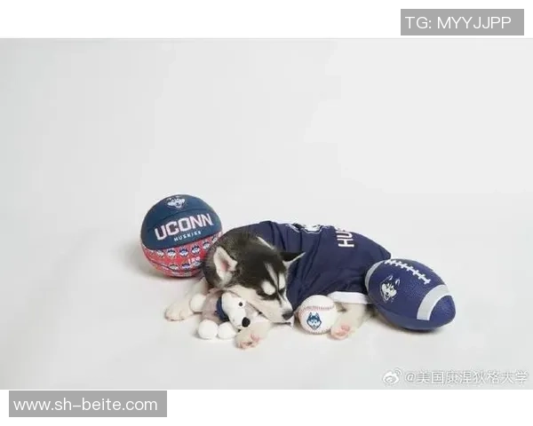 康涅狄格大学球员脚踩哈士奇PE球鞋引发媒体热议